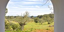 Foto dell'oggetto