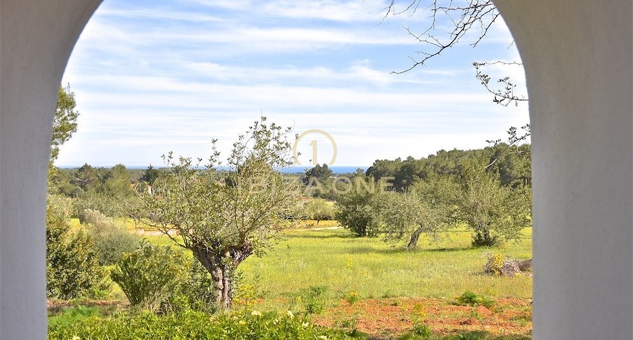 Foto dell'oggetto