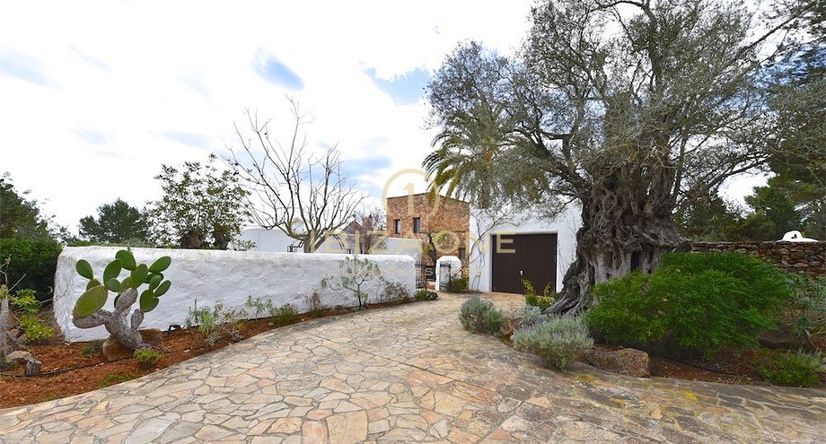 Photos of the property