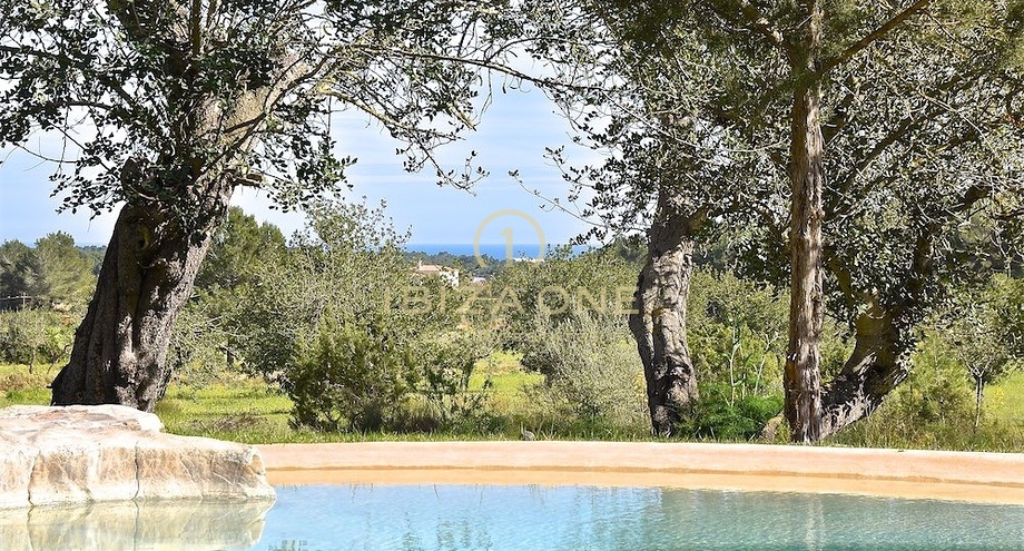 Foto dell'oggetto