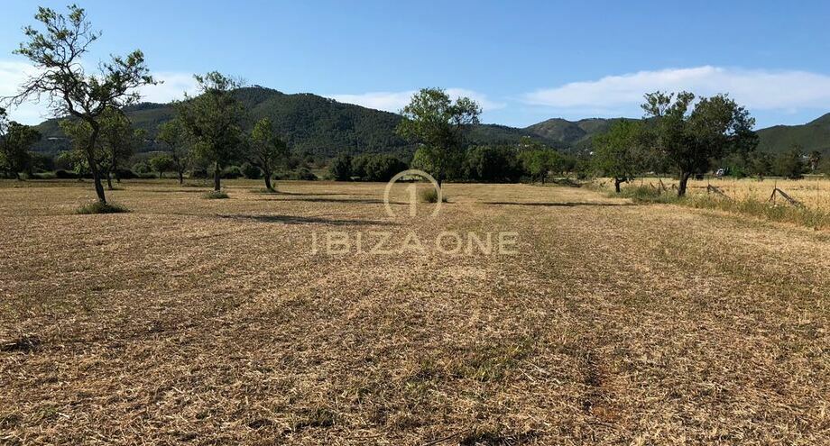 Photos of the property