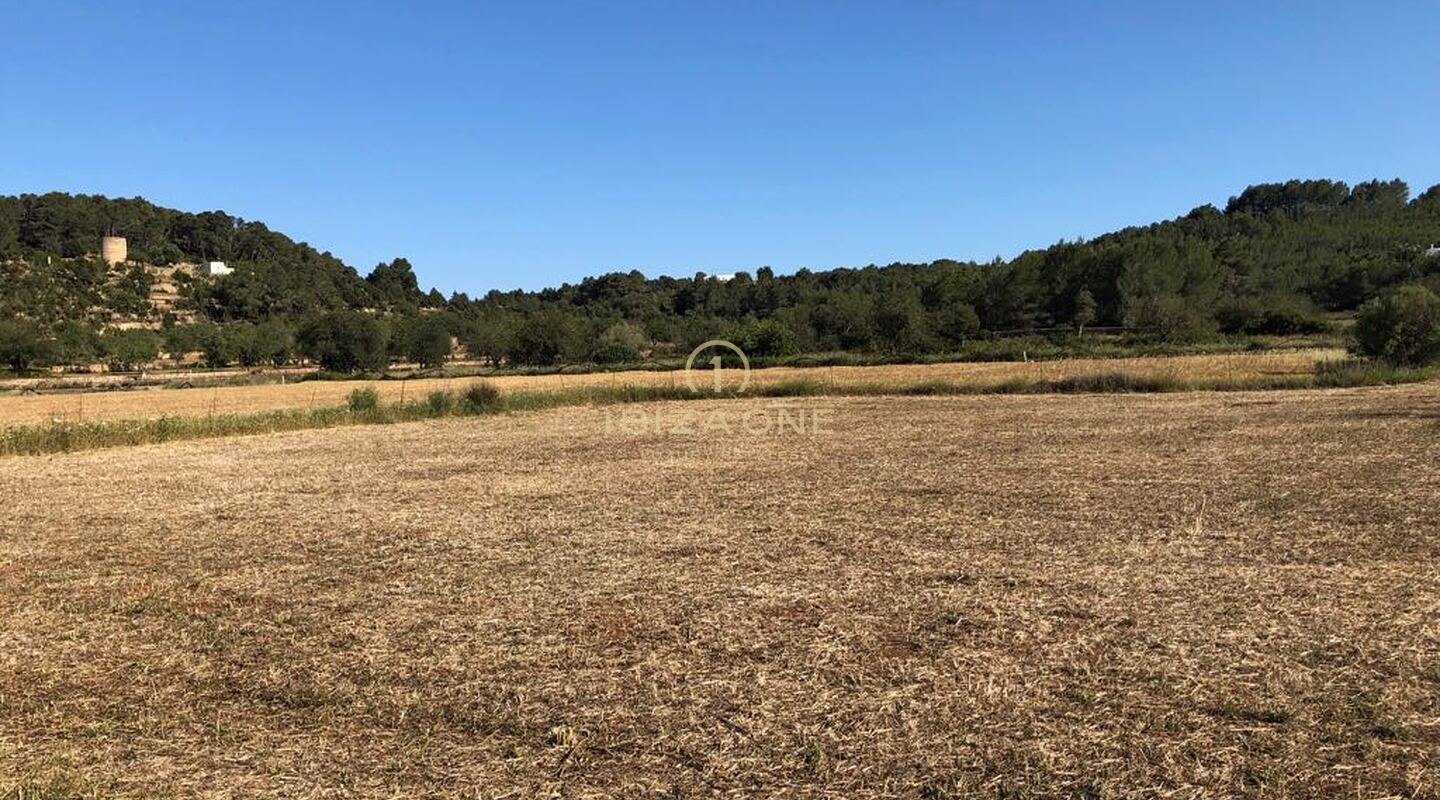Modern luxury project in Ibiza at San Carlos in the Morna Valley for sale, Ibiza - Modern luxury project in Ibiza at San Carlos in the Morna Valley for rent, Ibiza