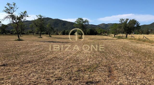 Projet de luxe moderne à Ibiza à San Carlos dans la vallée de la Morna à vendre, Ibiza - Projet de luxe moderne à Ibiza à San Carlos dans la vallée de la Morna à louer, Ibiza