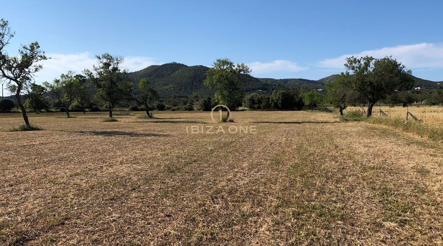 Modern luxury project in Ibiza at San Carlos in the Morna Valley for sale, Ibiza - Modern luxury project in Ibiza at San Carlos in the Morna Valley for rent, Ibiza