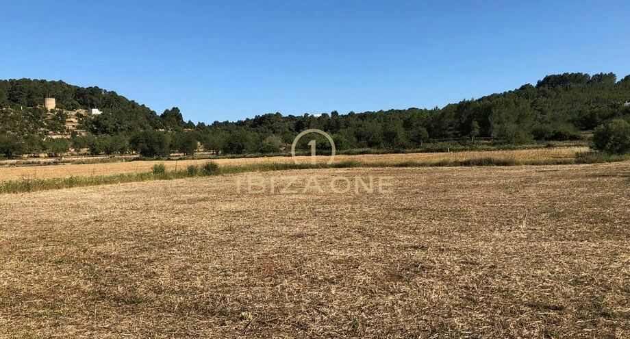 Foto van het vastgoed