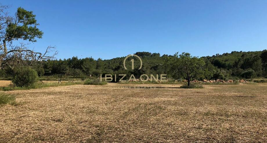 Photos of the property