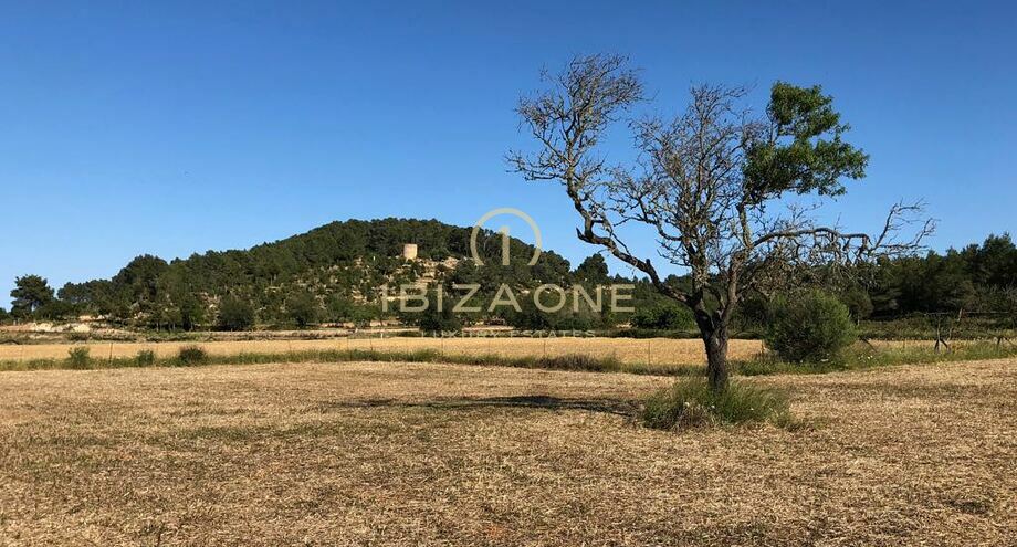 Photos of the property