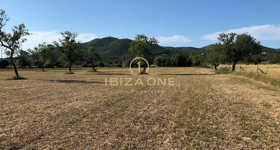 Photos of the property