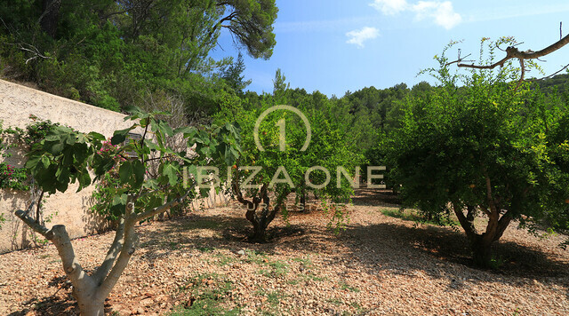 Luxurious Blakstad design finca for rent and sale in Ibiza - completely renovated