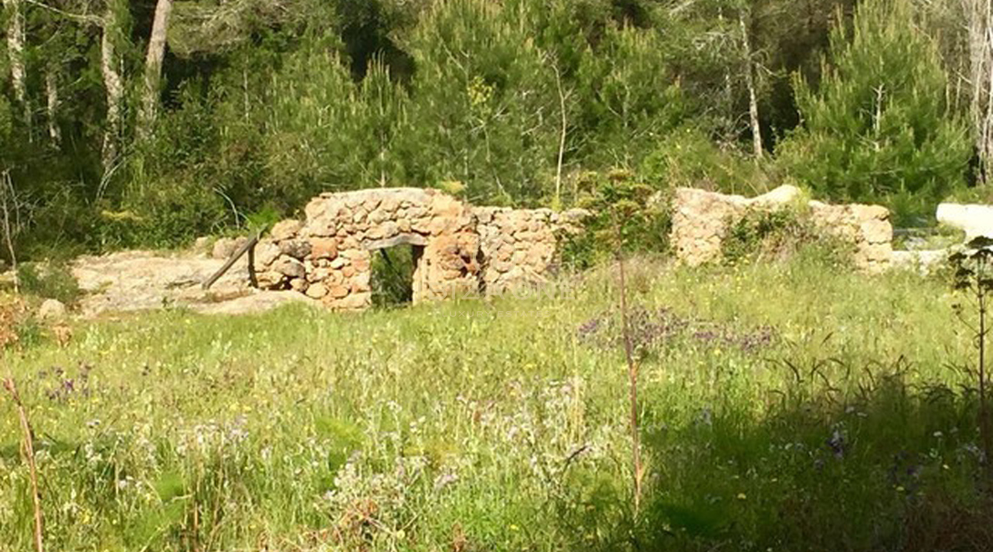 Originele finca om te renoveren op Ibiza, gelegen in een rustige omgeving met prachtig uitzicht over de Morna-vallei, te koop, Ibiza - Originele finca om te renoveren op Ibiza, gelegen in een rustige omgeving met prachtig uitzicht over de Morna-vallei, te huur, Ibiza