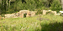 Photos of the property
