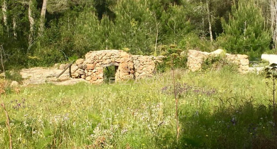 Foto dell'oggetto
