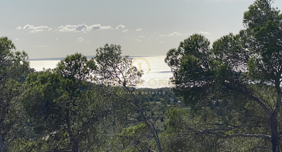 Photos of the property