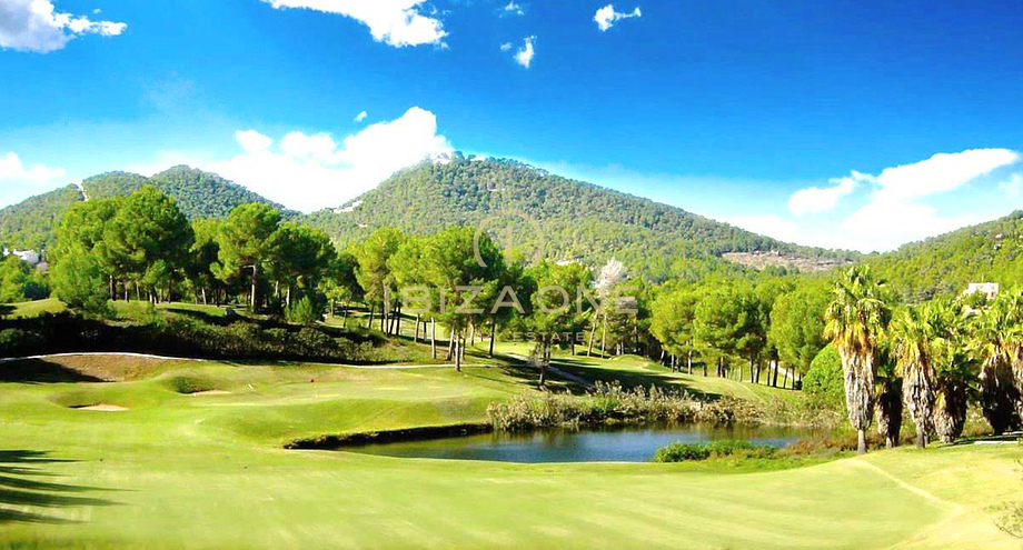 Foto van het vastgoed