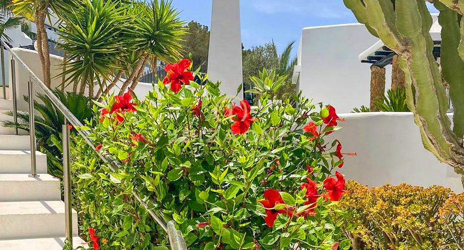 Foto dell'oggetto