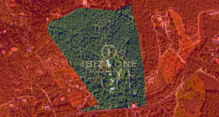 Photos of the property