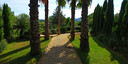 Foto dell'oggetto