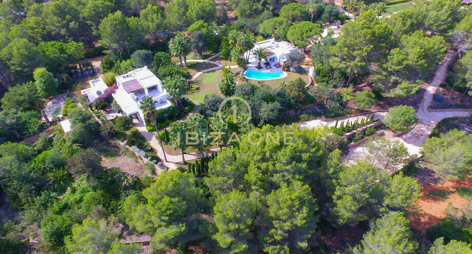 Photos of the property