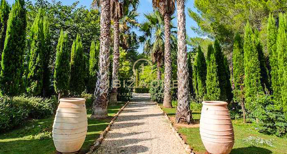 Foto dell'oggetto