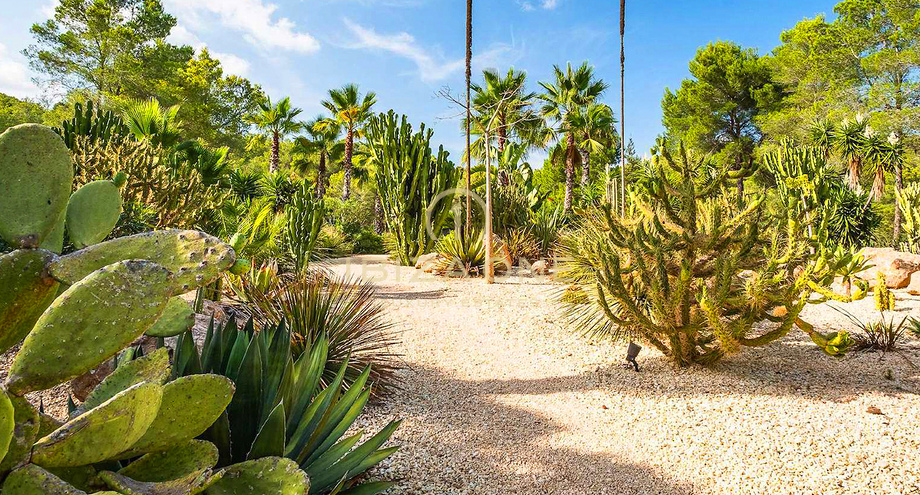 Фотографии объектов недвижимости