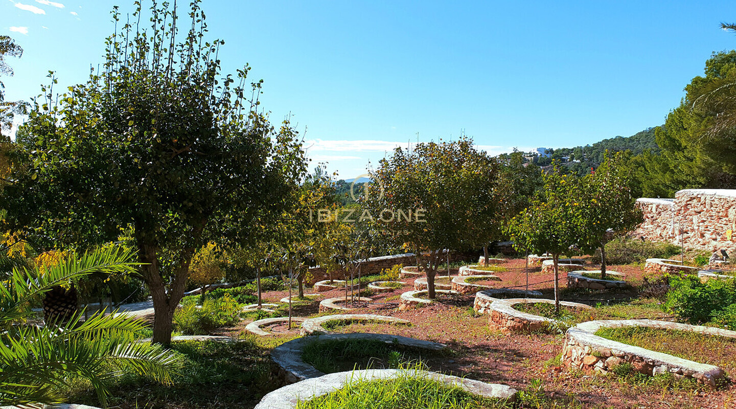 Sehr große Finca auf Ibiza mit sensationellem Meerblick, Blick nach Ibiza und Formentera auf 40.000m2 Grundstück ganz in der Nähe von Ibiza zu verkaufen, Ibiza - Sehr große Finca auf Ibiza mit sensationellem Meerblick, Blick nach Ibiza und Formentera auf 40.000m2 Grundstück ganz in der Nähe von Ibiza zu vermieten, Ibiza