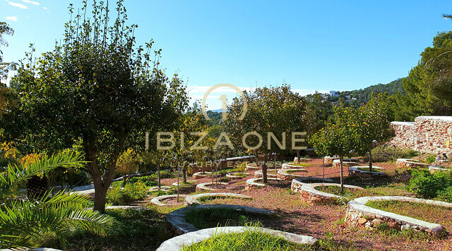 Sehr große Finca auf Ibiza mit sensationellem Meerblick, Blick nach Ibiza und Formentera auf 40.000m2 Grundstück ganz in der Nähe von Ibiza zu verkaufen, Ibiza - Sehr große Finca auf Ibiza mit sensationellem Meerblick, Blick nach Ibiza und Formentera auf 40.000m2 Grundstück ganz in der Nähe von Ibiza zu vermieten, Ibiza