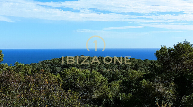 Ampia finca a Ibiza con vista mare sensazionale, vista su Ibiza e Formentera su 40.000 m2 di terreno molto vicino a Ibiza in vendita, Ibiza - Ampia finca a Ibiza con vista mare sensazionale, vista su Ibiza e Formentera su 40.000 m2 di terreno molto vicino a Ibiza in affitto, Ibiza