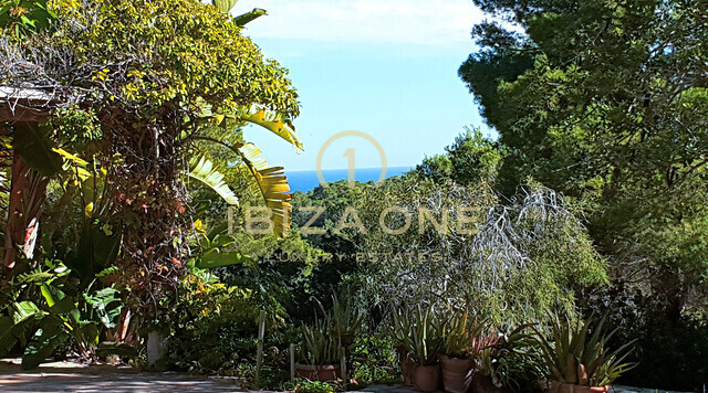 Très grande finca à Ibiza avec vue sensationnelle sur la mer, vues sur Ibiza et Formentera sur 40.000m2 de terrain très proche d'Ibiza à vendre, Ibiza - Très grande finca à Ibiza avec vue sensationnelle sur la mer, vues sur Ibiza et Formentera sur 40.000m2 de terrain très proche d'Ibiza à louer, Ibiza