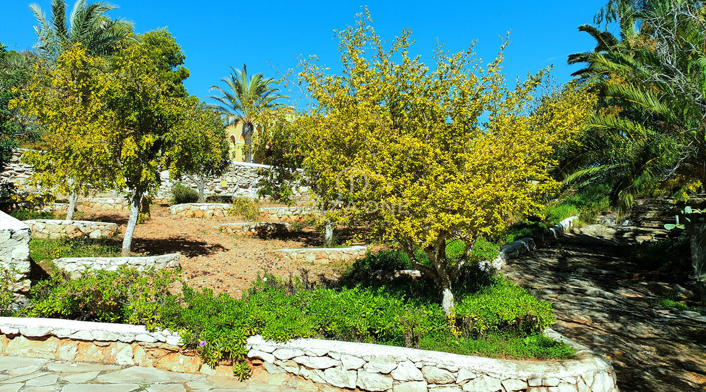 Ampia finca a Ibiza con vista mare sensazionale, vista su Ibiza e Formentera su 40.000 m2 di terreno molto vicino a Ibiza in vendita, Ibiza - Ampia finca a Ibiza con vista mare sensazionale, vista su Ibiza e Formentera su 40.000 m2 di terreno molto vicino a Ibiza in affitto, Ibiza