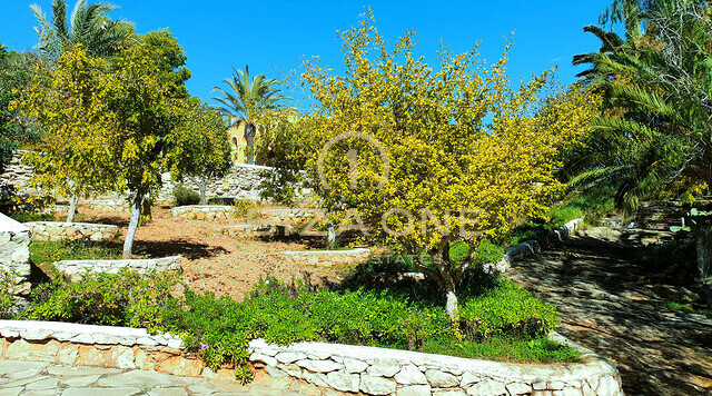 Zeer grote finca op Ibiza met sensationeel uitzicht op zee, uitzicht op Ibiza en Formentera op 40.000m2 grond vlakbij Ibiza te koop, Ibiza - Zeer grote finca op Ibiza met sensationeel uitzicht op zee, uitzicht op Ibiza en Formentera op 40.000m2 grond vlakbij Ibiza te huur, Ibiza