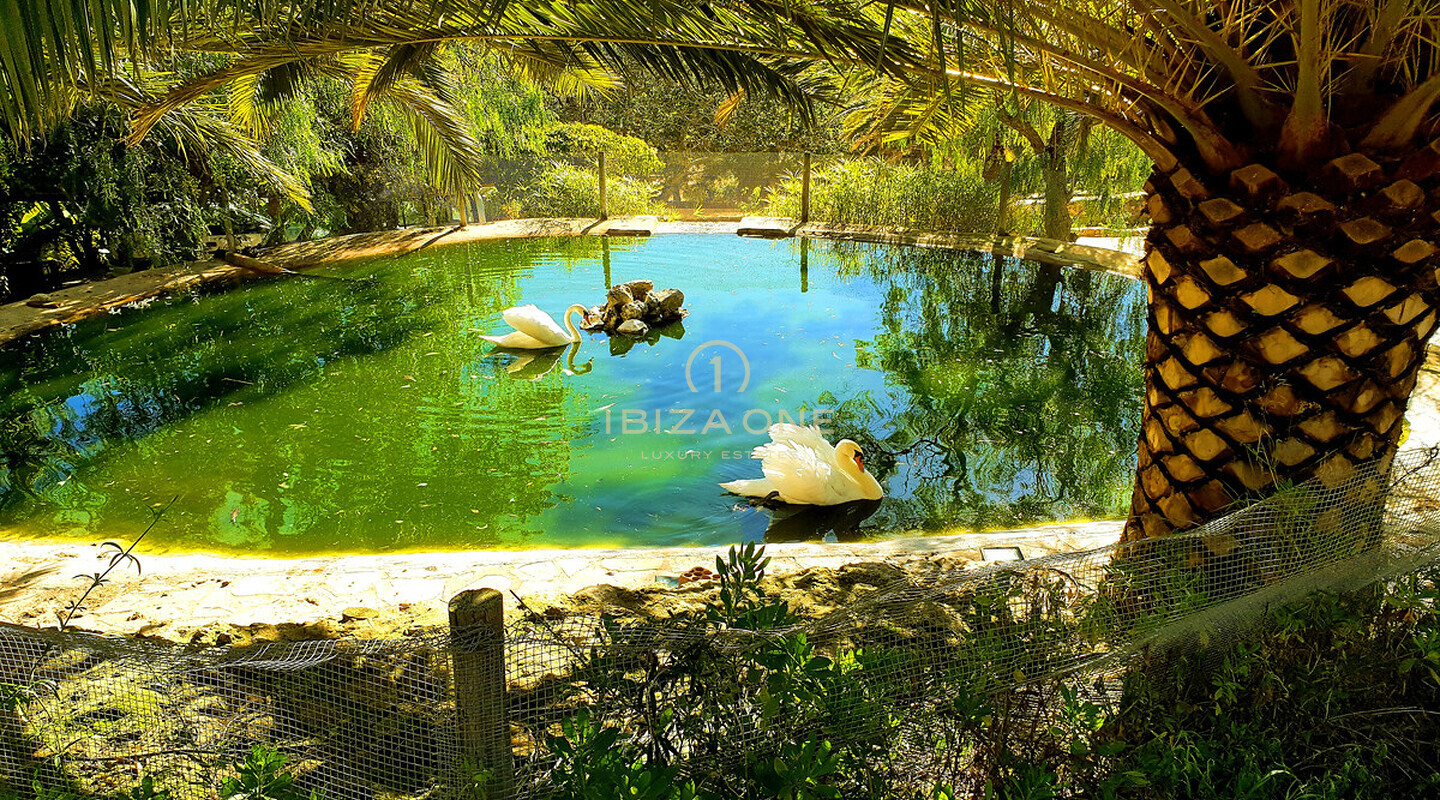 Zeer grote finca op Ibiza met sensationeel uitzicht op zee, uitzicht op Ibiza en Formentera op 40.000m2 grond vlakbij Ibiza te koop, Ibiza - Zeer grote finca op Ibiza met sensationeel uitzicht op zee, uitzicht op Ibiza en Formentera op 40.000m2 grond vlakbij Ibiza te huur, Ibiza