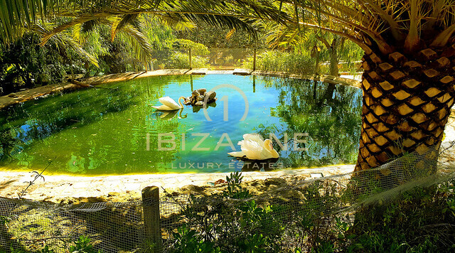 Zeer grote finca op Ibiza met sensationeel uitzicht op zee, uitzicht op Ibiza en Formentera op 40.000m2 grond vlakbij Ibiza te koop, Ibiza - Zeer grote finca op Ibiza met sensationeel uitzicht op zee, uitzicht op Ibiza en Formentera op 40.000m2 grond vlakbij Ibiza te huur, Ibiza