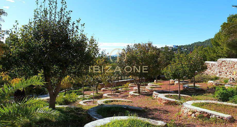 Fotos de la propiedad