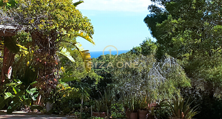 Fotos de la propiedad