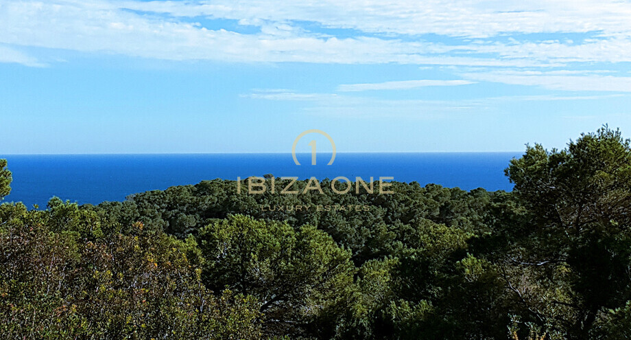 Фотографии объектов недвижимости