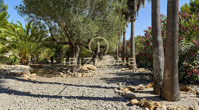 Schöne Villa mit Privatsphäre in der Nähe von Ibiza zu verkaufen, Ibiza - Schöne Villa mit Privatsphäre in der Nähe von Ibiza zu vermieten, Ibiza