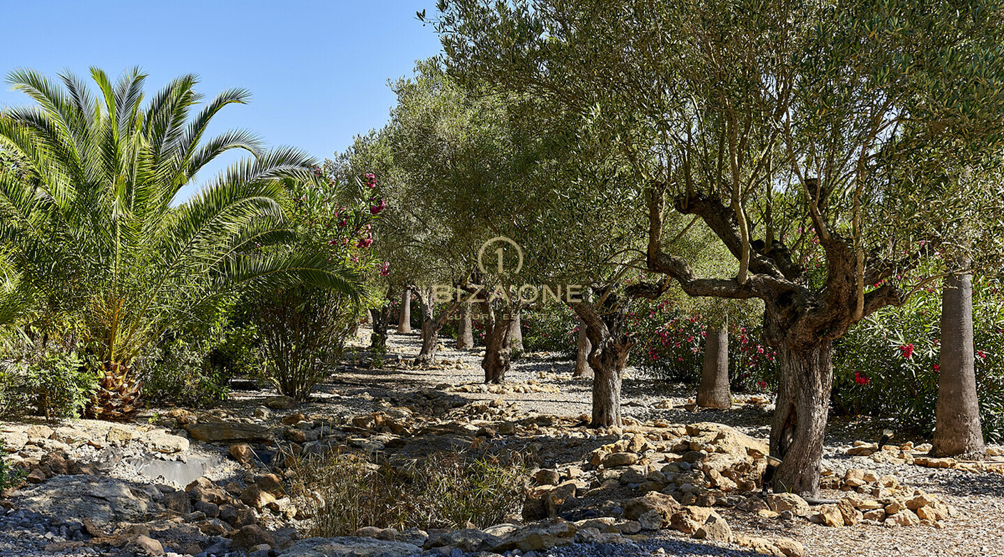 Belle villa avec intimité près d'Ibiza à vendre, Ibiza - Belle villa avec intimité près d'Ibiza à louer, Ibiza