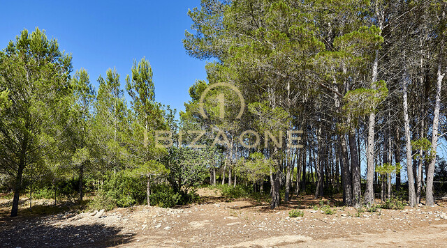 Bellissima villa con privacy vicino a Ibiza in vendita, Ibiza - Bellissima villa con privacy vicino a Ibiza in affitto, Ibiza