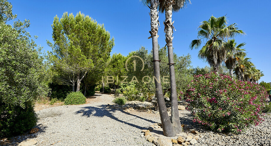 Photos of the property