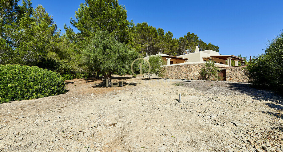 Photos of the property