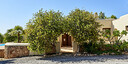 صور العرض