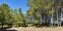 Photos of the property