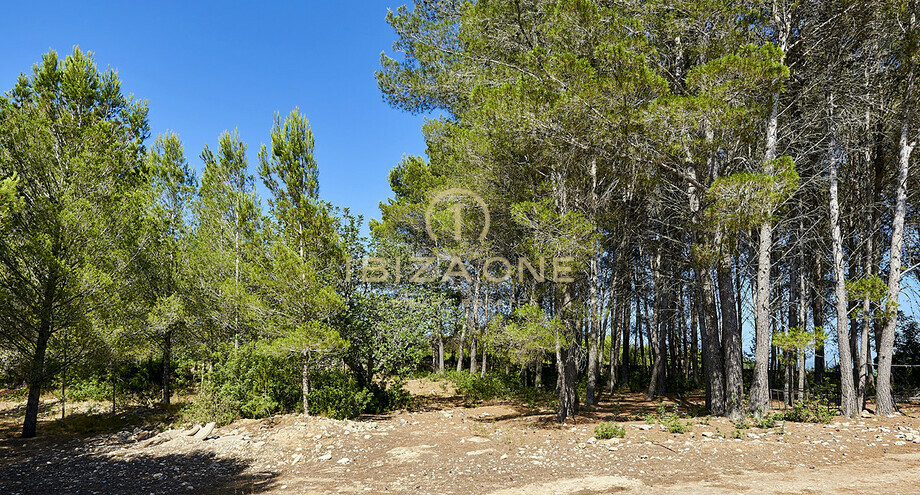 Foto dell'oggetto