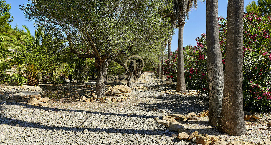 صور العرض