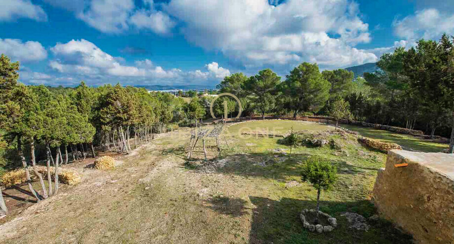 Photos of the property