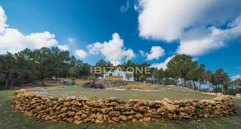 Photos of the property