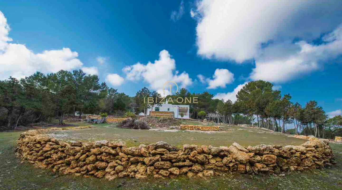 Exclusief nieuw luxe bouwproject met zeezicht te koop, Ibiza - Exclusief nieuw luxe bouwproject met zeezicht te huur, Ibiza