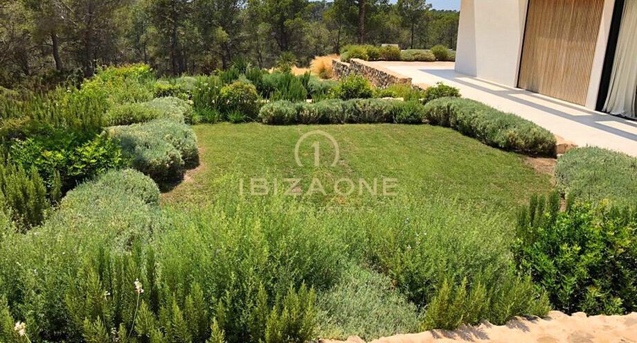 Photos of the property