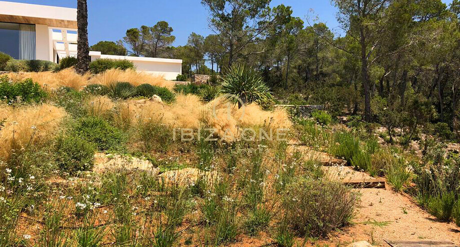 Photos of the property