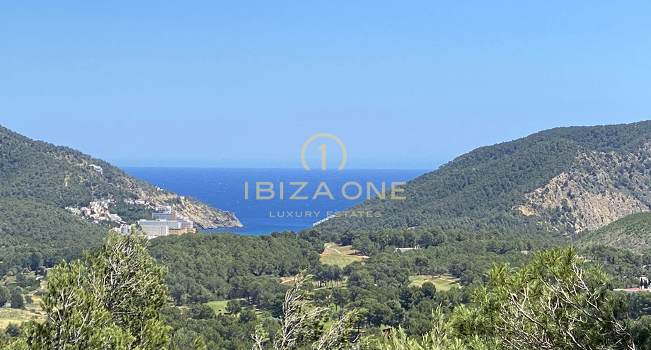 Photos of the property